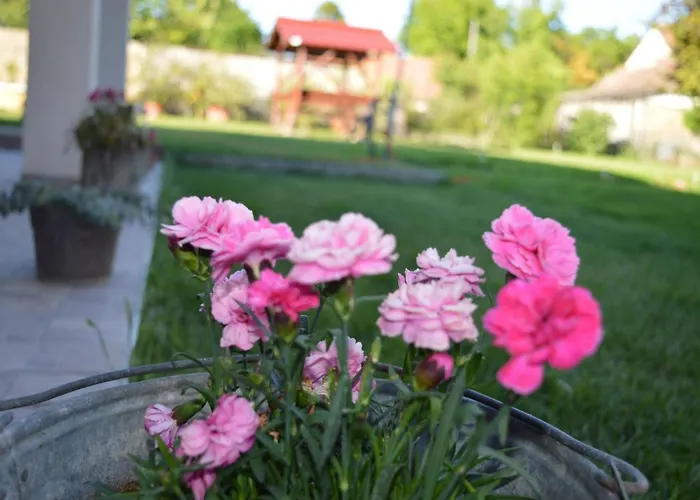 Apartament Veranda *